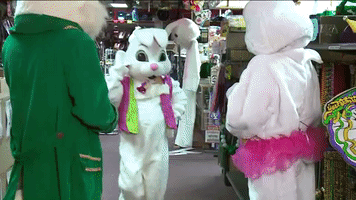 fashion show bunny GIF by WGN Morning News
