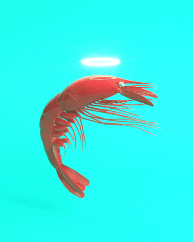 shrimps meme gif