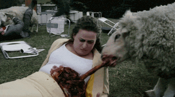 gifmorderca  GIF