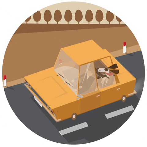 kartonbar dog weekend fiat barton GIF