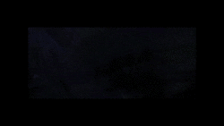 danielapena-ee1e donnie darko - jc prision GIF