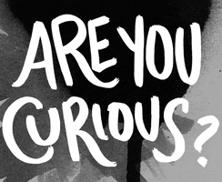 are you curious ask me GIF by Denyse