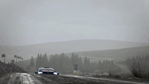 Race Rally GIF by Red Bull - Find & Share on GIPHY