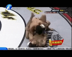 vitaliykostyrenko wlf zst yusuke uehara GIF