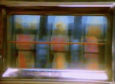 lose las vegas GIF - lose las vegas GIF
