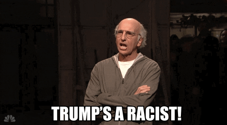 Image result for larry david trump's a racist gif