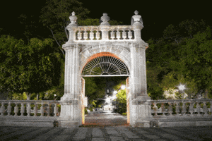 memo frases memo firma efemerides GIF