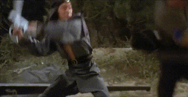 martial arts monday GIF by Shaw Brothers