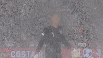 happy hands up GIF by U.S. Soccer Federation