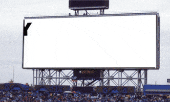 thechive  no confused monday seahawks