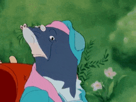 the wind in the willows GIF by Warner Archive