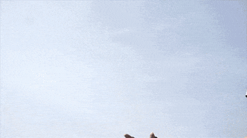 pulse  GIF