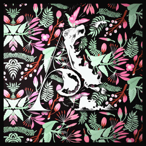 quicksand animal 1two1three records GIF