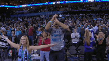 happy charlotte hornets GIF by NBA