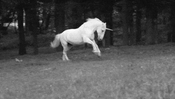 ulucselamet  GIF