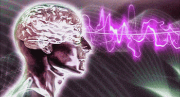 wayansandisetiadharma  GIF