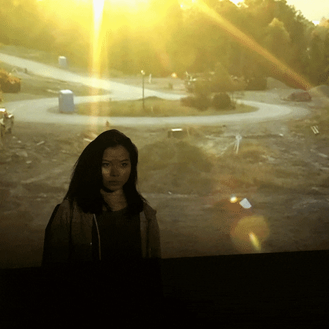 jonathanleano lacma GIF