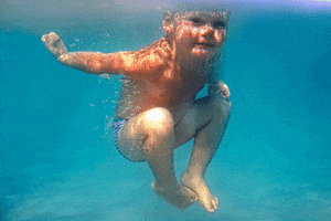 ascompany  GIF