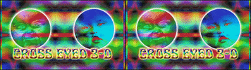 3d420 3d trippy psychedelic cross eyed GIF