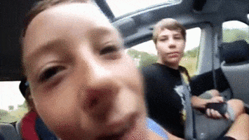 meme  GIF