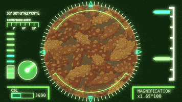 episode 209 GIF by Rick and Morty