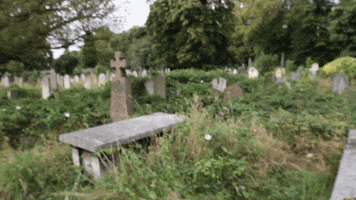 deadsocial green death historic cemetery GIF