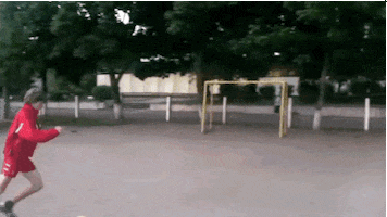 GIF by World’s Funniest