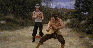 martial arts help GIF by Shaw Brothers