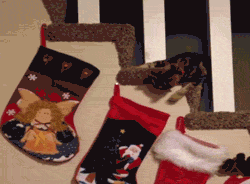 Cat Lol GIF by America's Funniest Home Videos