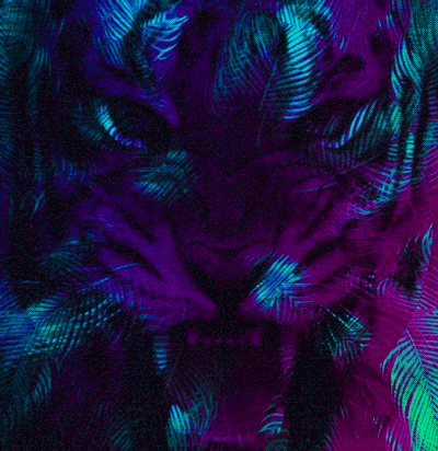 rain forest tiger GIF by Morena Daniela