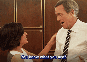 hugh laurie great choice GIF by Veep HBO