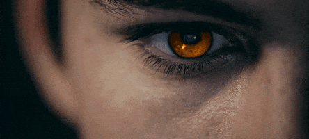 tika  GIF