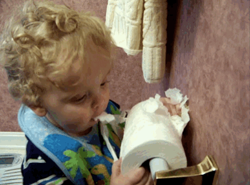 AFV Babies eating babies afv toilet paper GIF