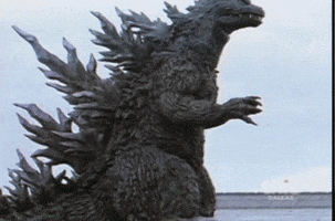 tohoscope  GIF
