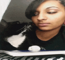 cat fail GIF by America's Funniest Home Videos