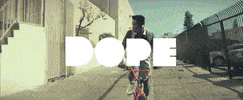 GIF by DOPE Movie