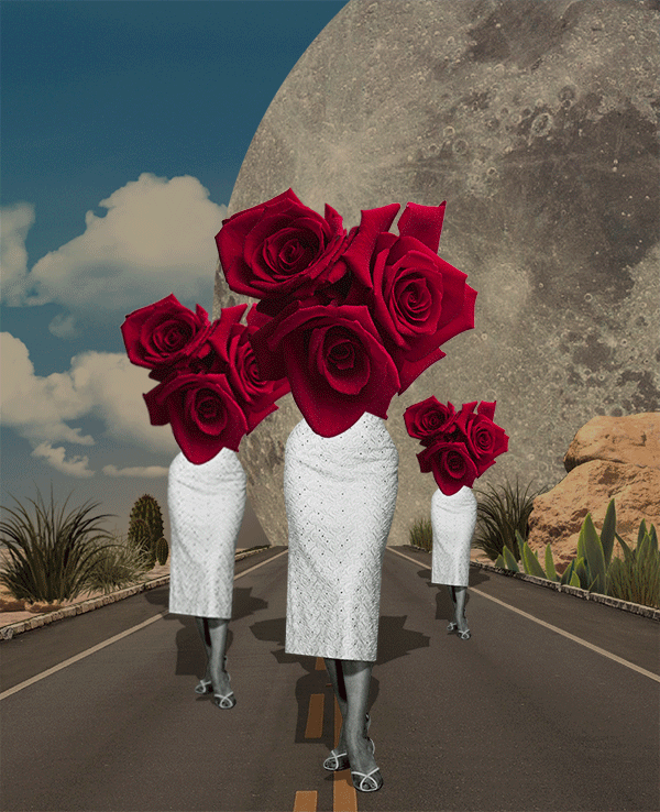 Art Collage GIF by Isabel Chiara Find & Share on GIPHY