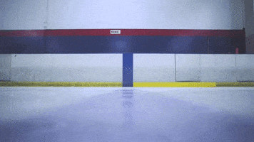 music video hockey GIF by Epitaph Records