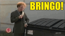 alecpesola steve brule bringo GIF