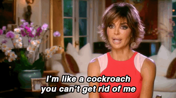 rid real housewives of beverly hills GIF by Yosub Kim, Content Strategy Director