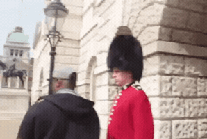 luishenrique  GIF