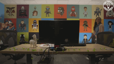 amy poehlers smart girls