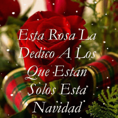 rosas  GIF