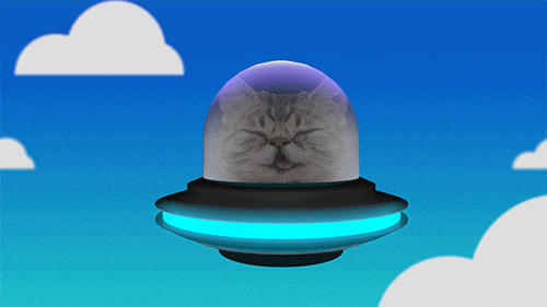 Giphy