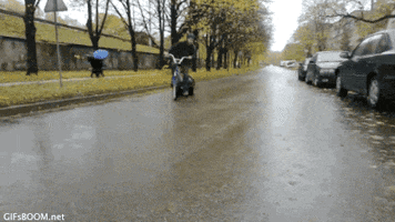 gabrielrodriguez bike cycling bicycle GIF