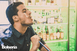 edureptil shishas de bolserÃ­a GIF