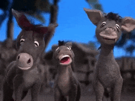 Nestor The Long Eared Christmas Donkey Laughing GIF by Warner Archive