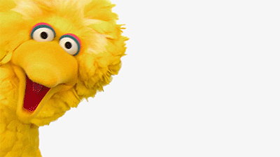 Image result for giphy for Big bird