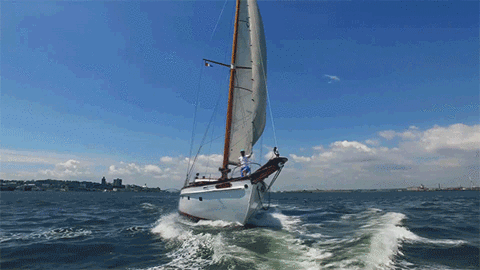Sailing Love Gifs Get The Best Gif On Giphy