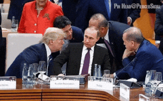 tomadelsbach donald trump #maga GIF